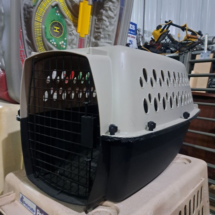 Pet Porter