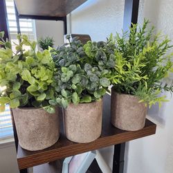 Fake Plants. Set Of 3