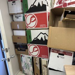 Free Moving Boxes