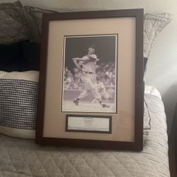 Sports Memorabilia Picture