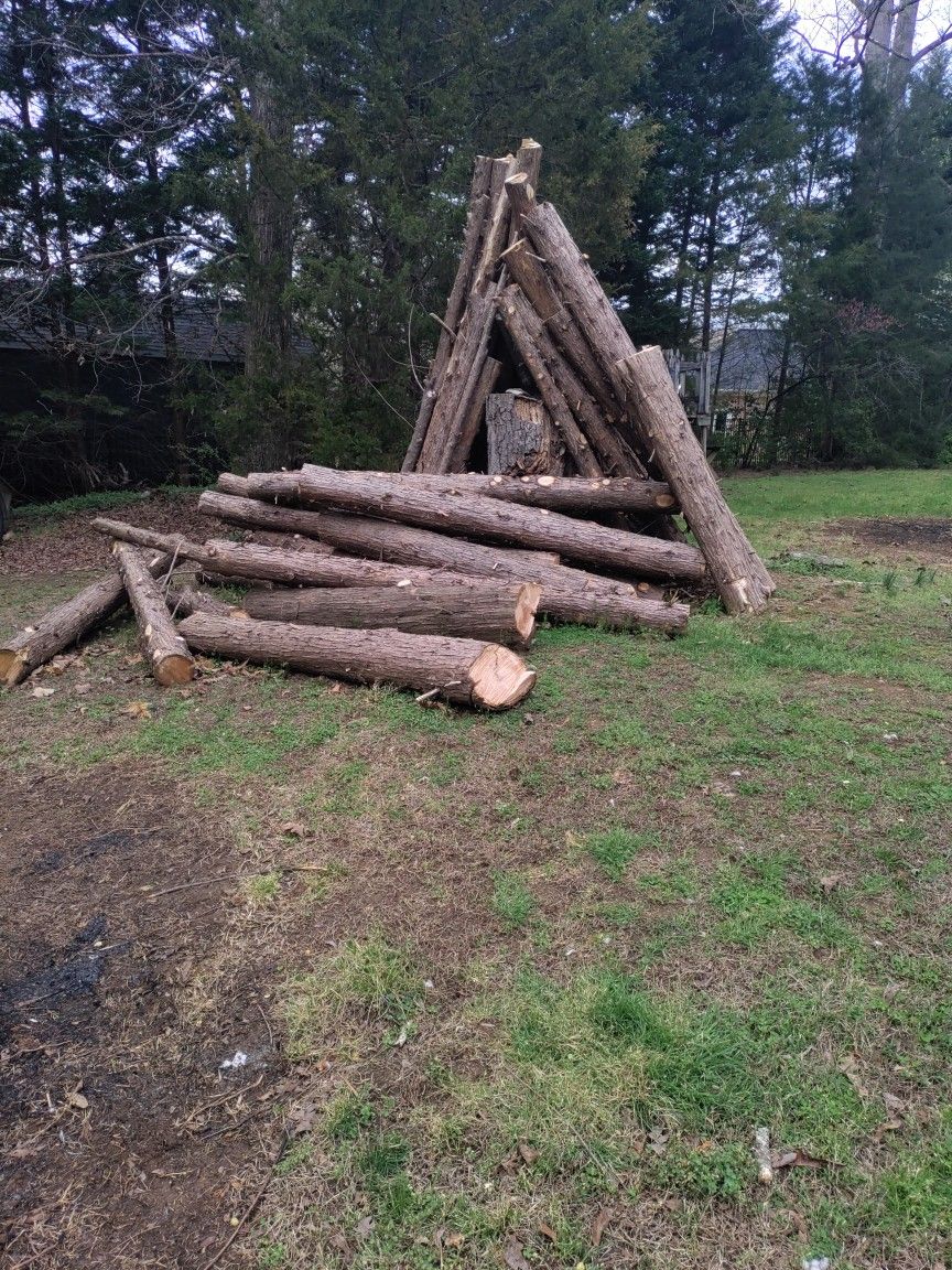 10' Cedar Post's 