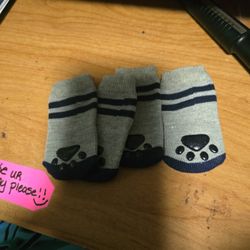 Pair Of Blue Medium Dogie Socks