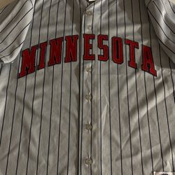 Torii Hunter Minnesota Twins Baseball Jersey 