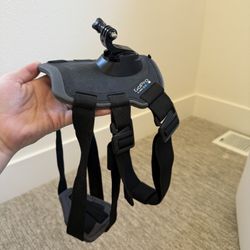 Go Pro Dog Harness