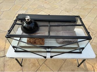 Reptile tank and supplies