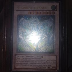 Star Dust dragon
