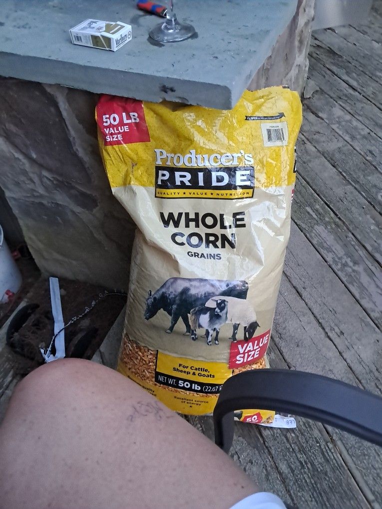 Feed Corn