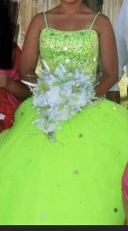 Quinceañera Dress  Vestido Para Quinceañera  Make An Offer/ Haga Una Oferta 