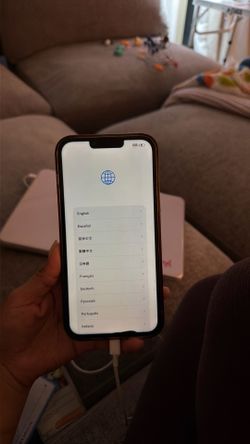 iPhone 13 Pro Max $200