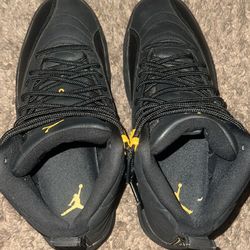Jordan Retro 12