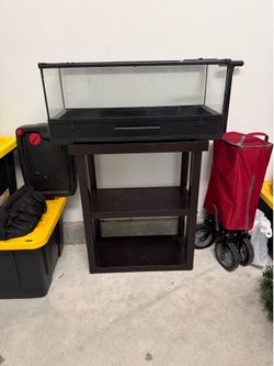 20 Gallon Terrarium