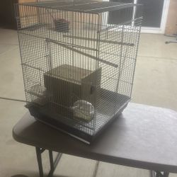 Bird Cage 