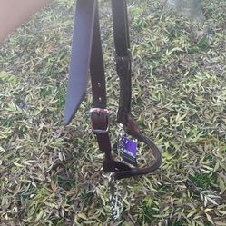 Cattle Halter