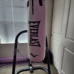 Everlast 80 Lb and Stand