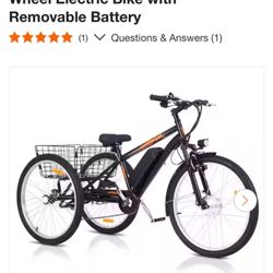 Garvee 24 in. Adult Fat Tire Mountain Electric 