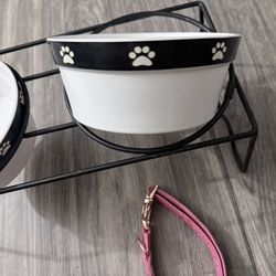 Dog Bowls 