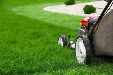 Grass cut
