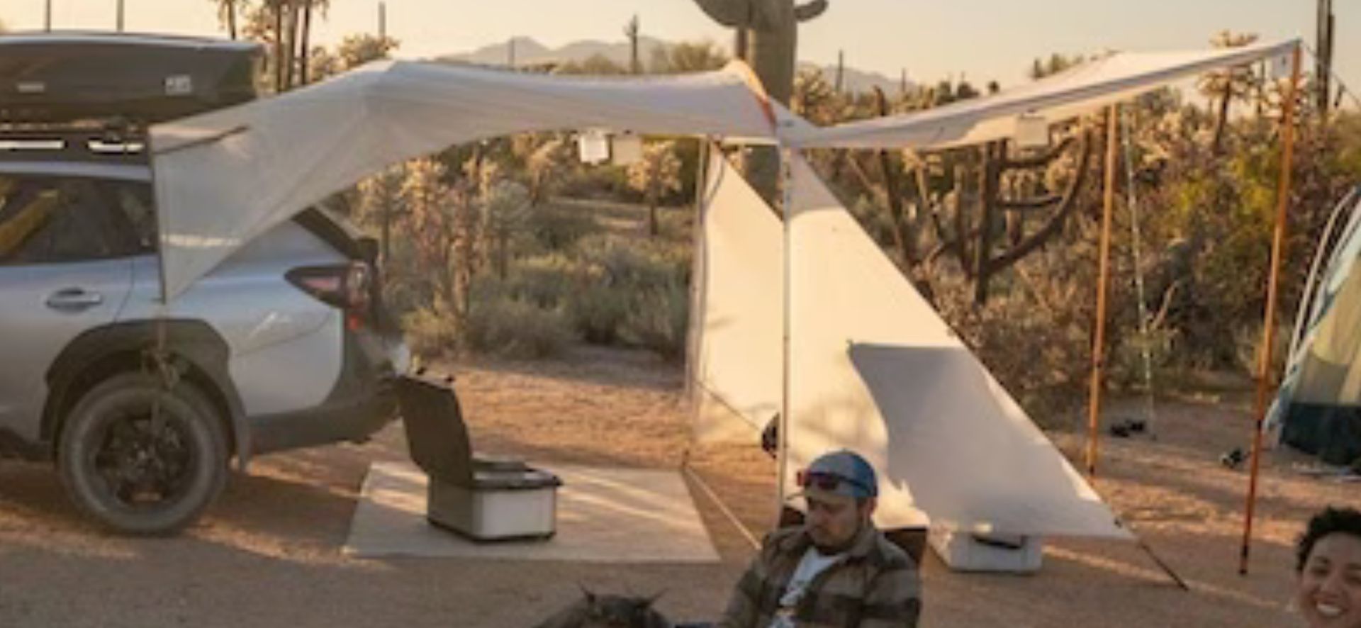 REI Vehicle Tailgate Shelter