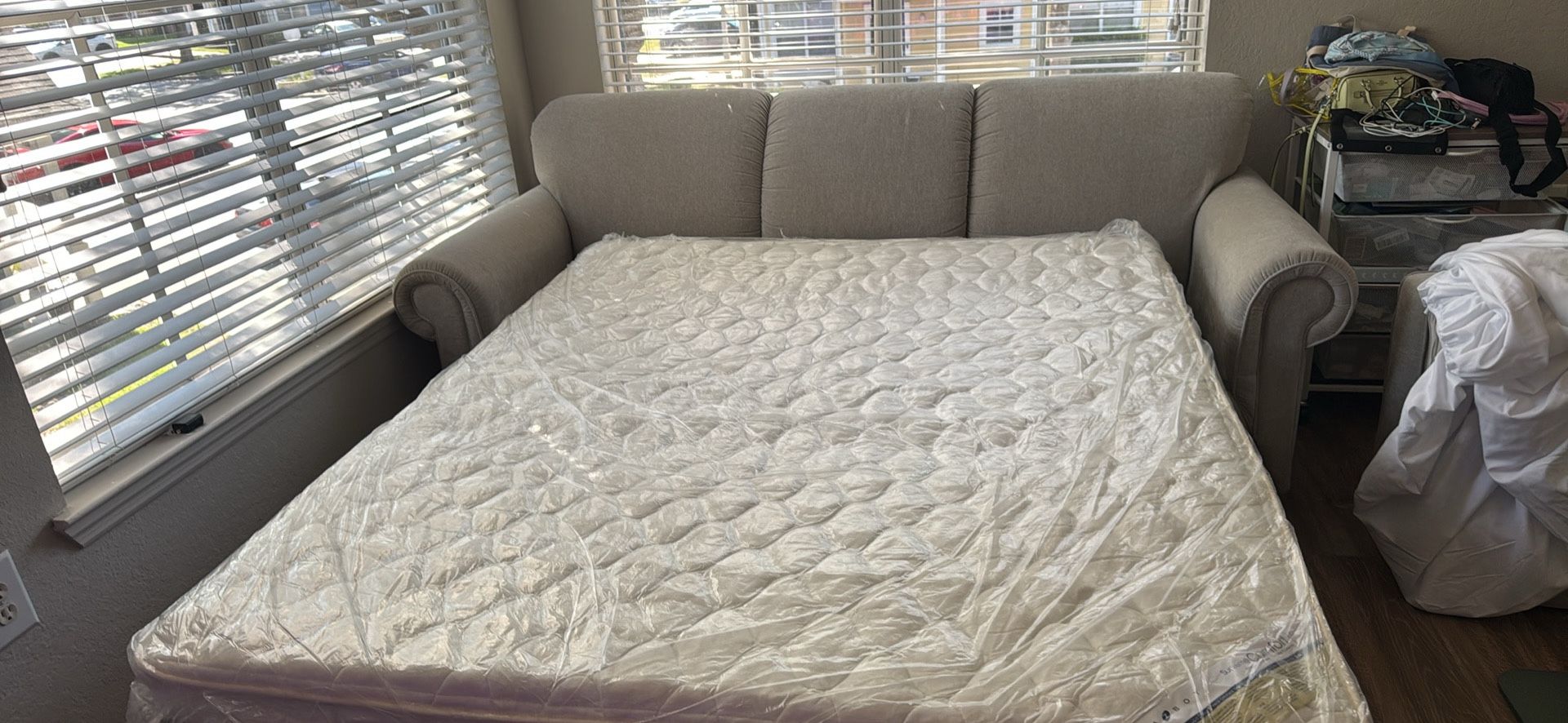 Sleeper Sofa