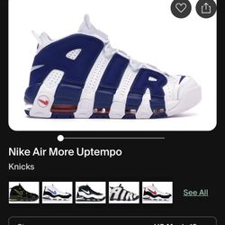 Nike Air (Patrick Ewings 33)