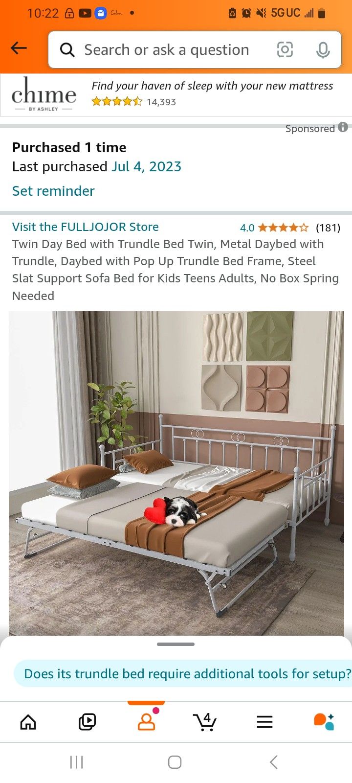 Twin Day Bed With Trundle And Mattresses