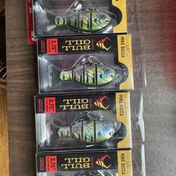 Mike Bucca Baby Bull Gill 