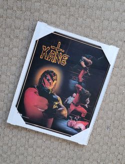 wwf / KANE - rare vintage 16 x 20 framed poster, details in posting