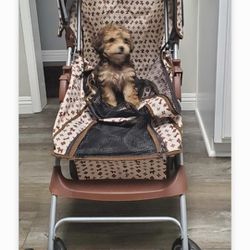 Louis Vuitton Dog Stroller for Sale in San Bernardino, CA - OfferUp
