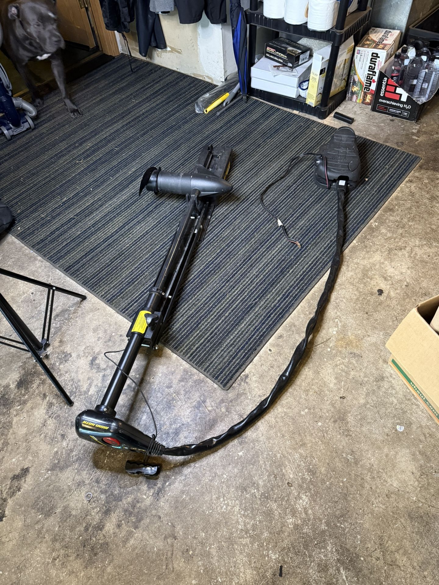 Minn Kota Edge 50 Trolling Motor – 12V Foot Control