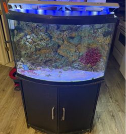 45 gallon salt water tank and stand