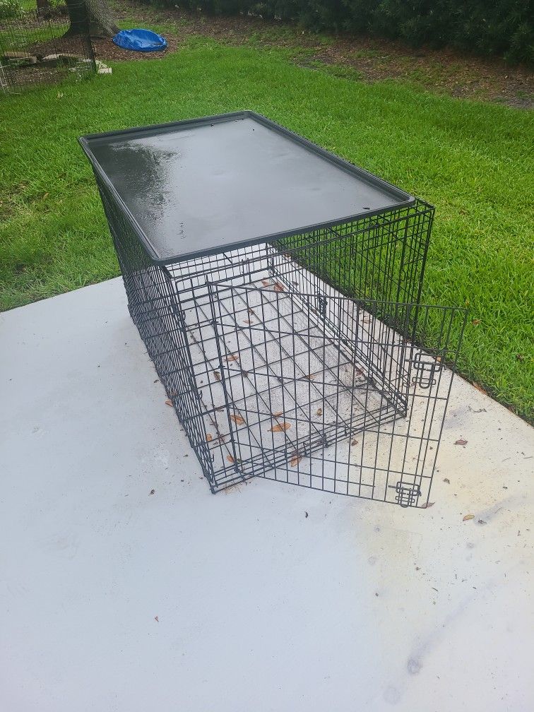 Extra Large Dog Cages 4 Available