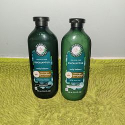 Shampoo And Conditioner 13.5oz Herbal Essences Eucalyptus Scalp Balance