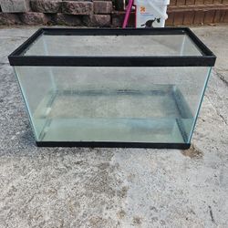 10 Gallon Fish Tank