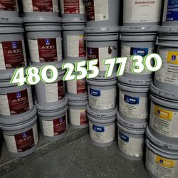 Paint For Sale 