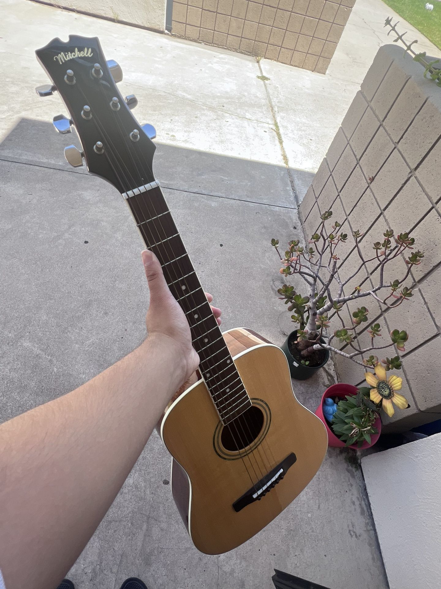 Mitchell Guitar 100$