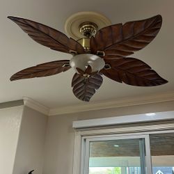 Ceiling Fan