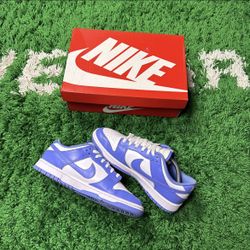 Nike Polar Blue Dunk