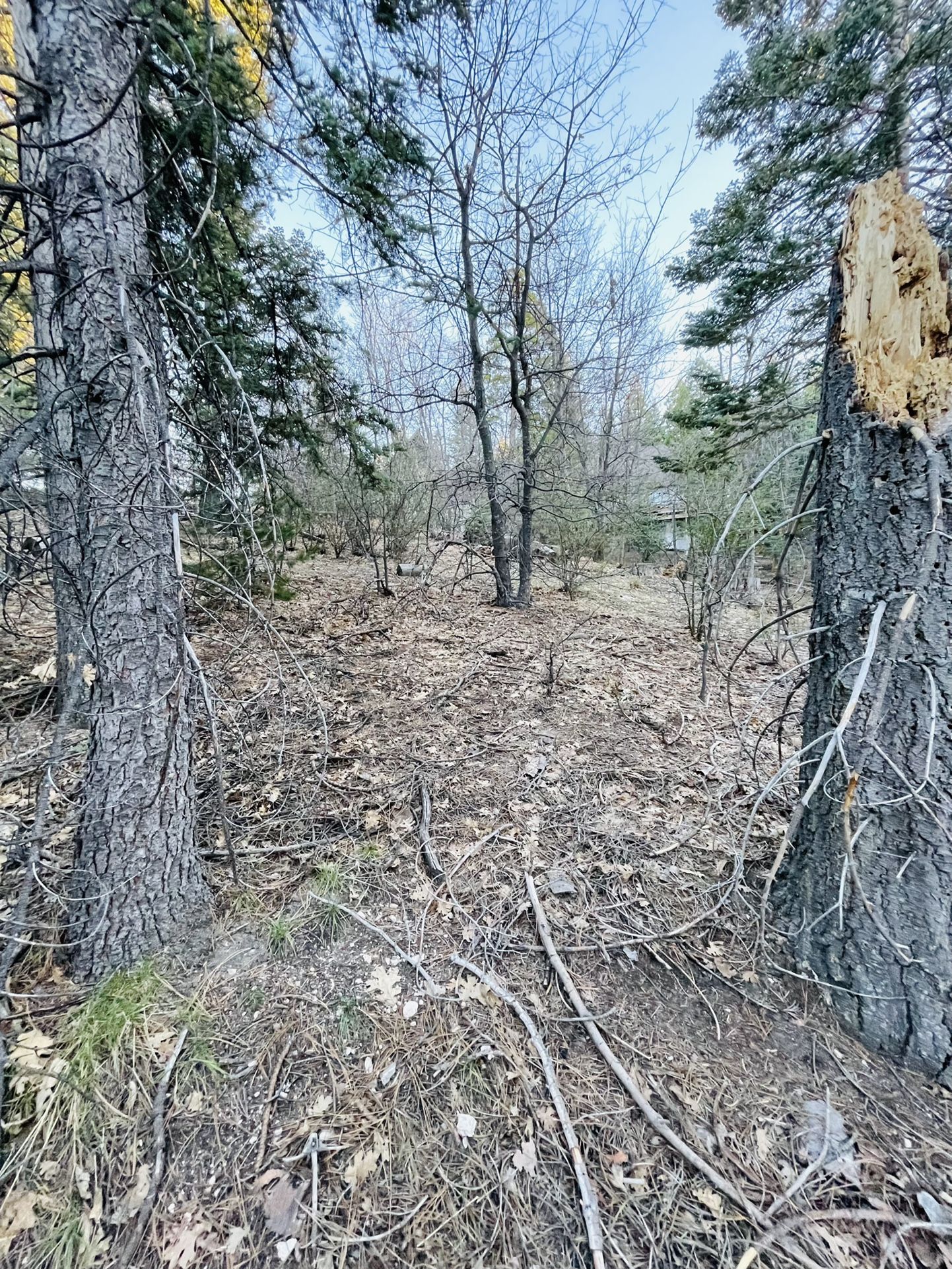 Land For Sale In Lake Arrowhead! for Sale in Lake Arrowhead, CA OfferUp