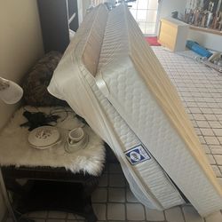 Mattress & Box Spring
