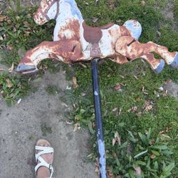 Vintage Carousel Horse