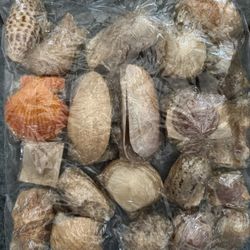 Assorted Seashells For Fish Tank Decoration, Etc. 4 For $10 And Up