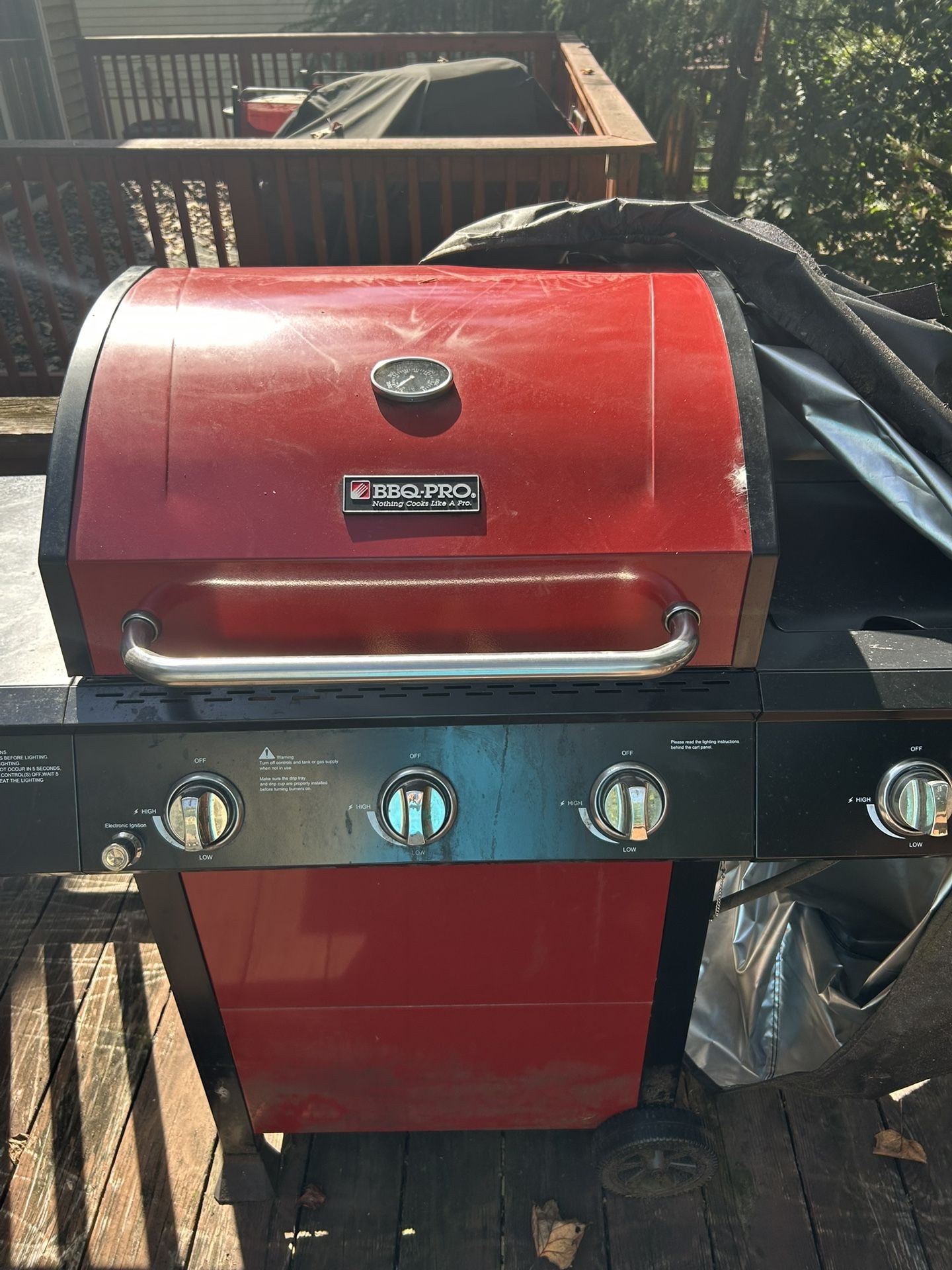 BBQ Pro