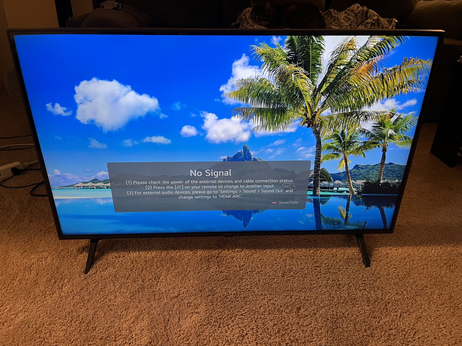 Brand New LG Smart TV