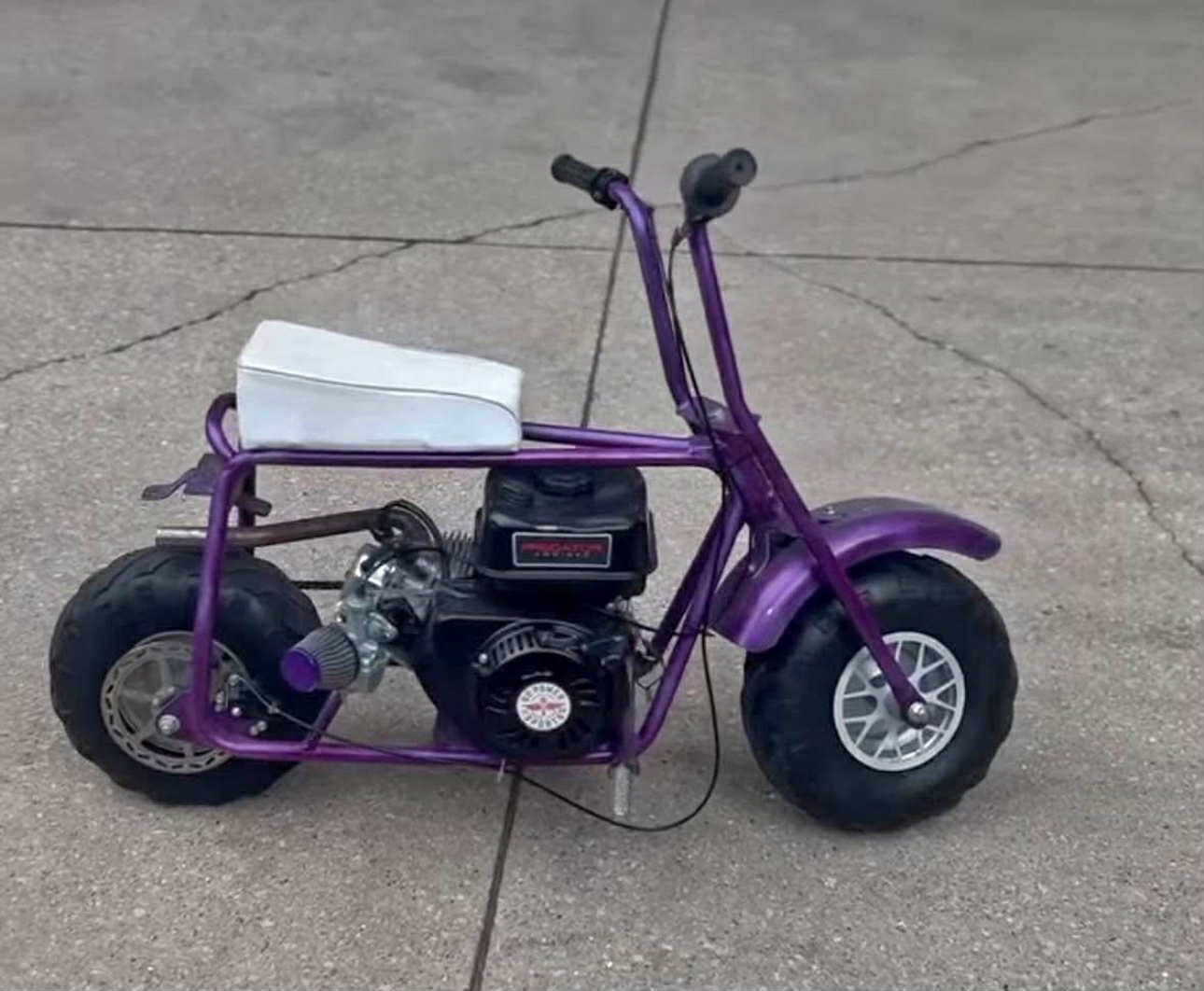 Mini Bike Predator Motor W/mods