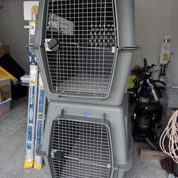 Pet safe Extra Large Dog Carrier 