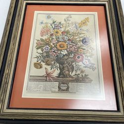 November, from 'twelve Months of Flowers' by Robert Furber 