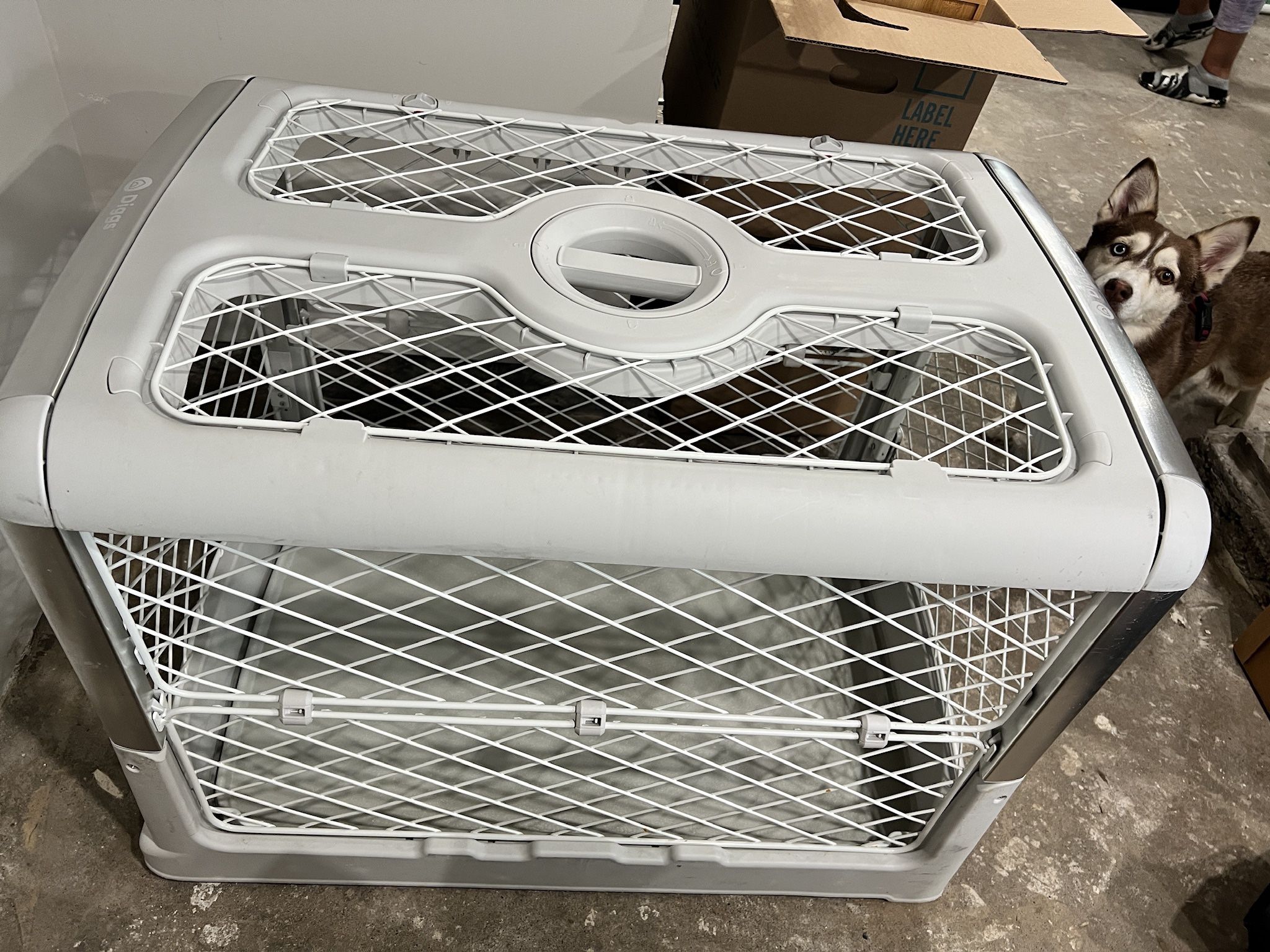 Diggs Revol Dog Crate (Medium)