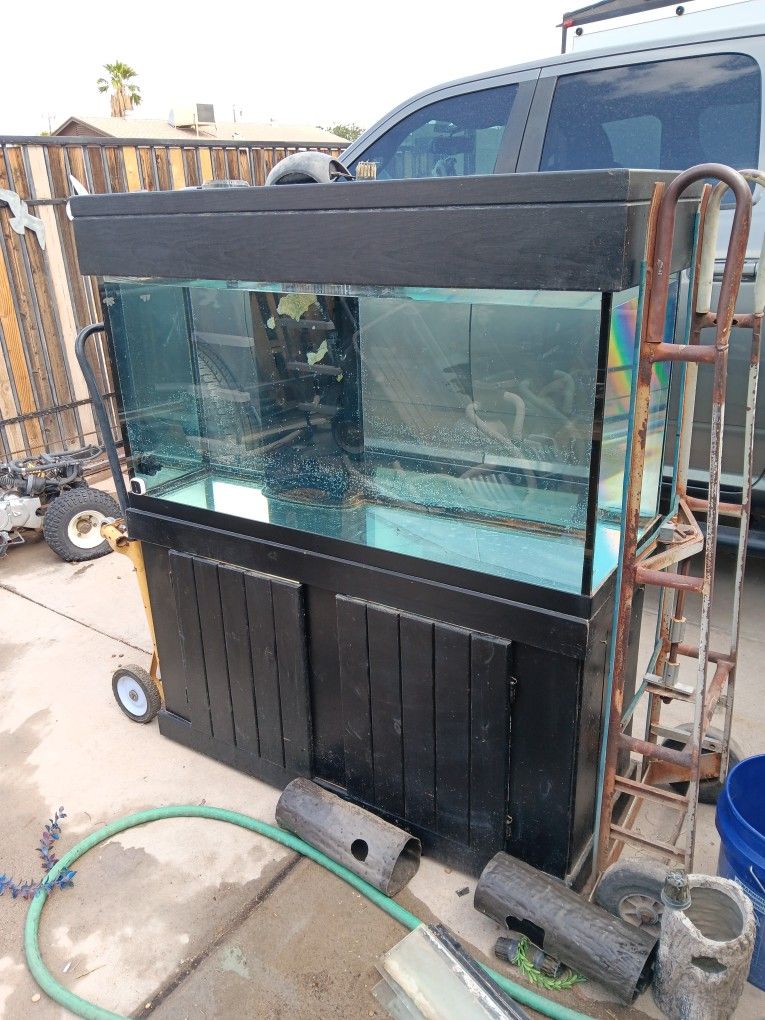 Two Fish Tanks One Is 120gal With Stand Top,55gal
