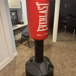 Everlast Punching Bag