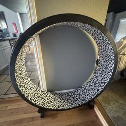 Cat Wheel